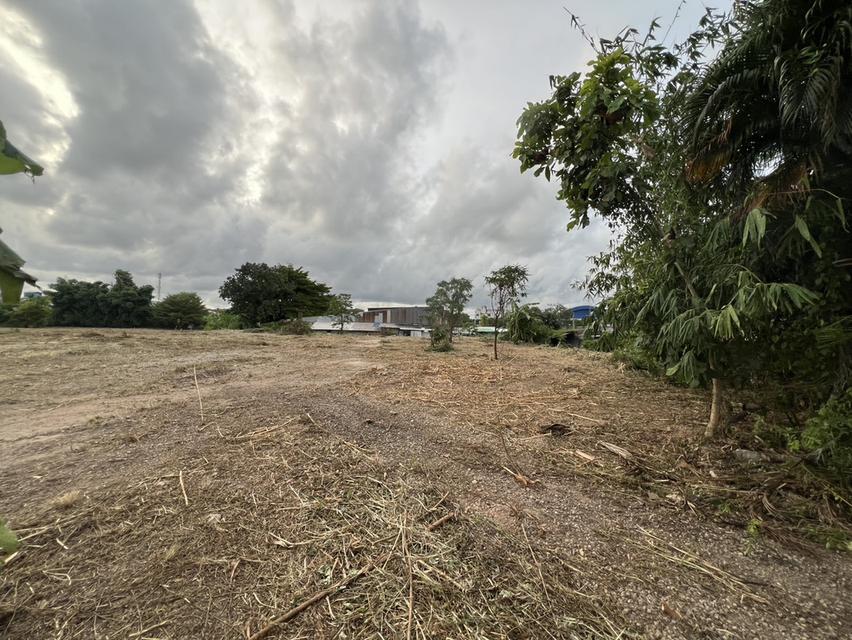 ที่ดิน ระยอง 3 ไร่ 395 ตารางวา 3