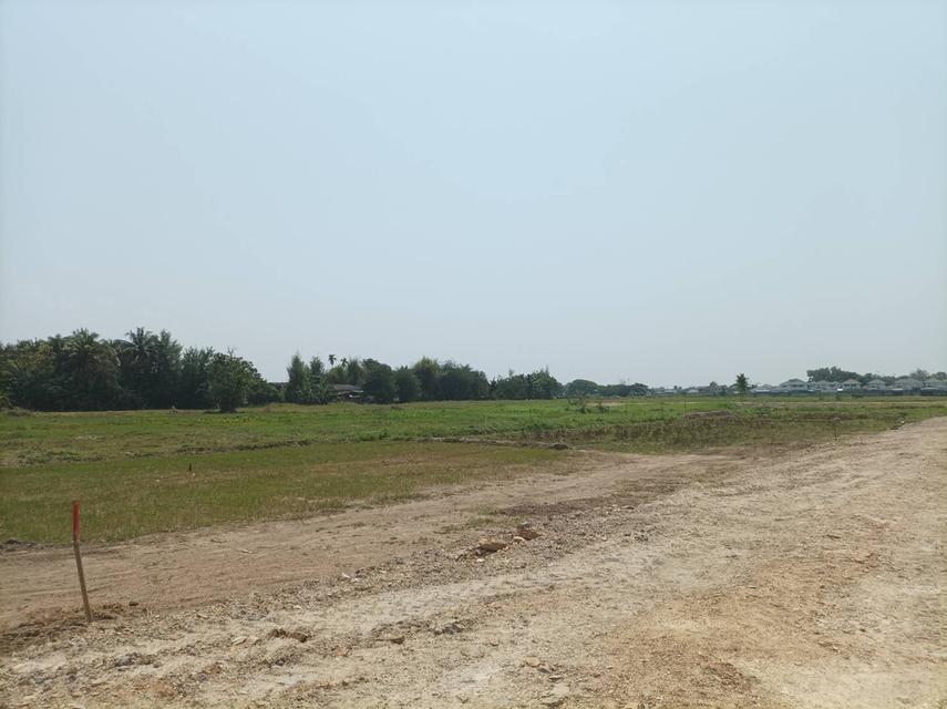 ขายที่ดิน 12,900บาท/ตร.ว. ต.สันปูเลย อ.ดอยสะเก็ด จ.เชียงใหม่ 4