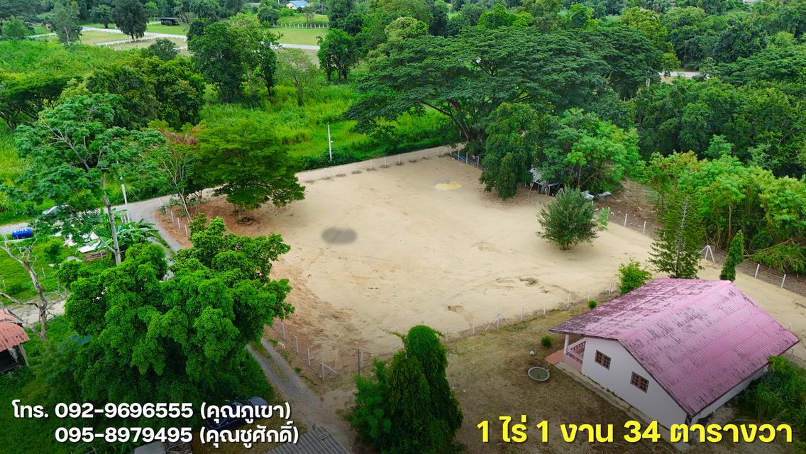 ขายที่ดินโซนเมืองปากช่อง 1 ไร่ 1 งาน 34 ตารางวา 6