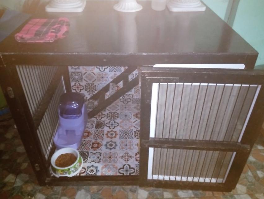 กรงแมวมือสอง สภาพค่อนข้างดี มีตำหนิตามการใช้งาน