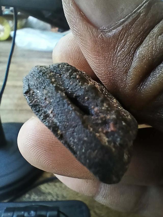 พระหลวงปู่ทวด ว่าน๙๗ รูปที่ 4