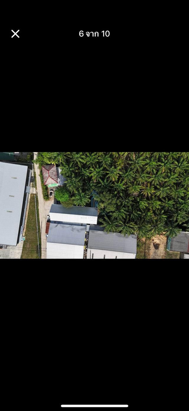 บ้านเดี่ยว2 ชั้น 3ห้องนอน3ห้องน้ำ เนื้อที่2ไร่ 5