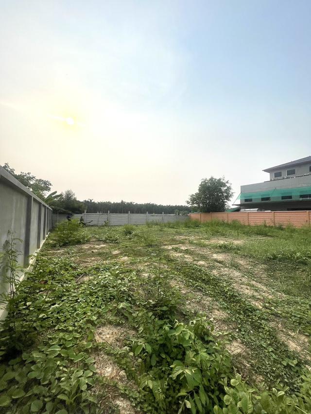 ขายที่ดิน 140 ตรว พุทธมณฑลสาย2  ใกล้พรานกตัดใหม่-สาย4 4