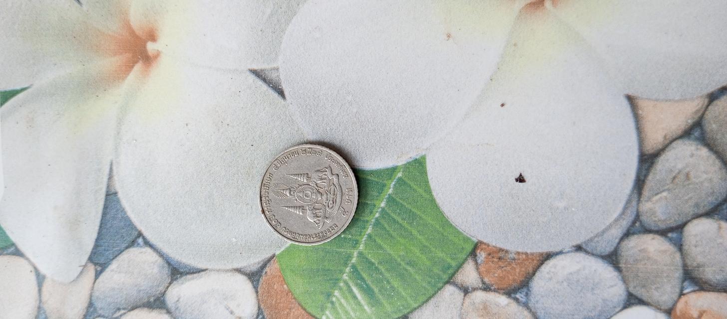 จะขายเหรียญ5บาทปี2539