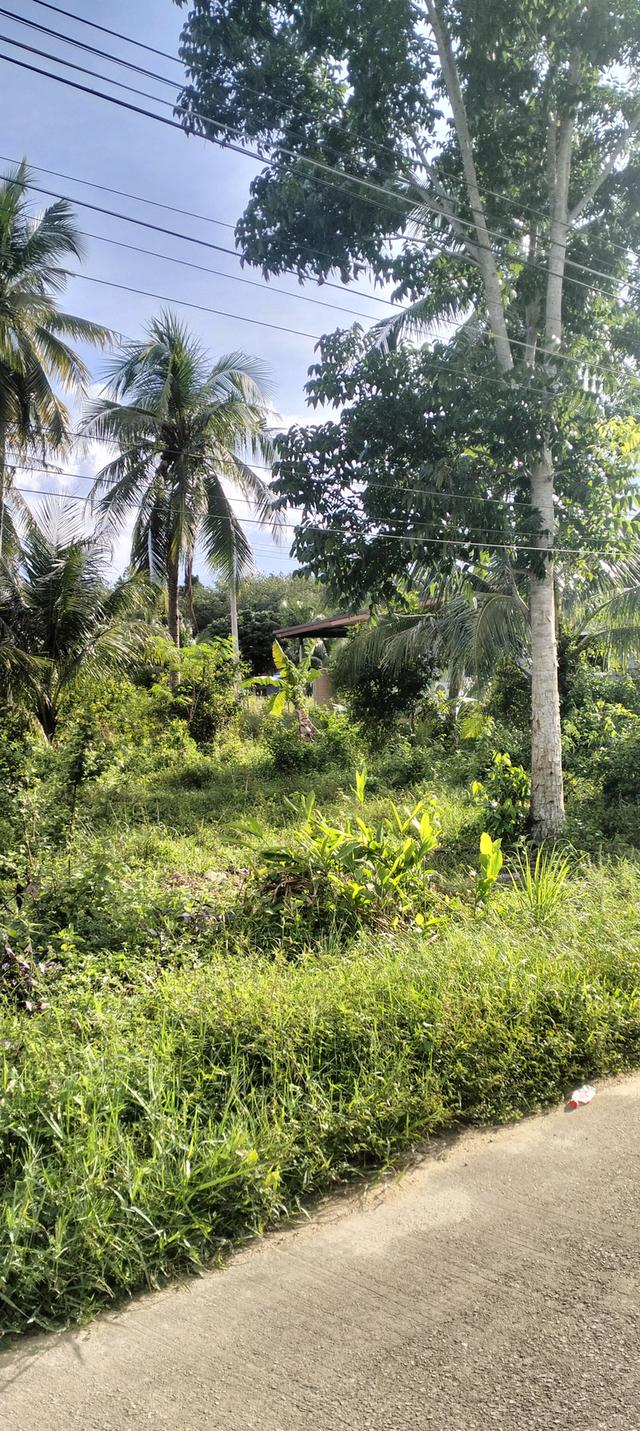 ที่ดินเปล่าทำเลทองติดถนน 9