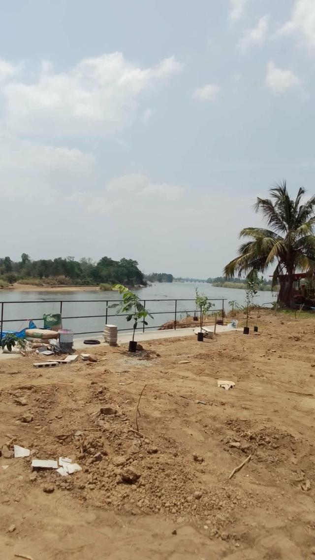 ขายที่ดินติดริมน้ำปิงกำแพงเพชร 3