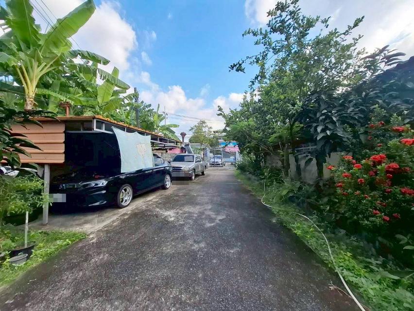 ขายบ้านชั้นเดียว 2 หลังคู่ พร้อมที่ดิน ซอยคชสาร4 หลังมหาลัยธรรมศาสตร์ 6