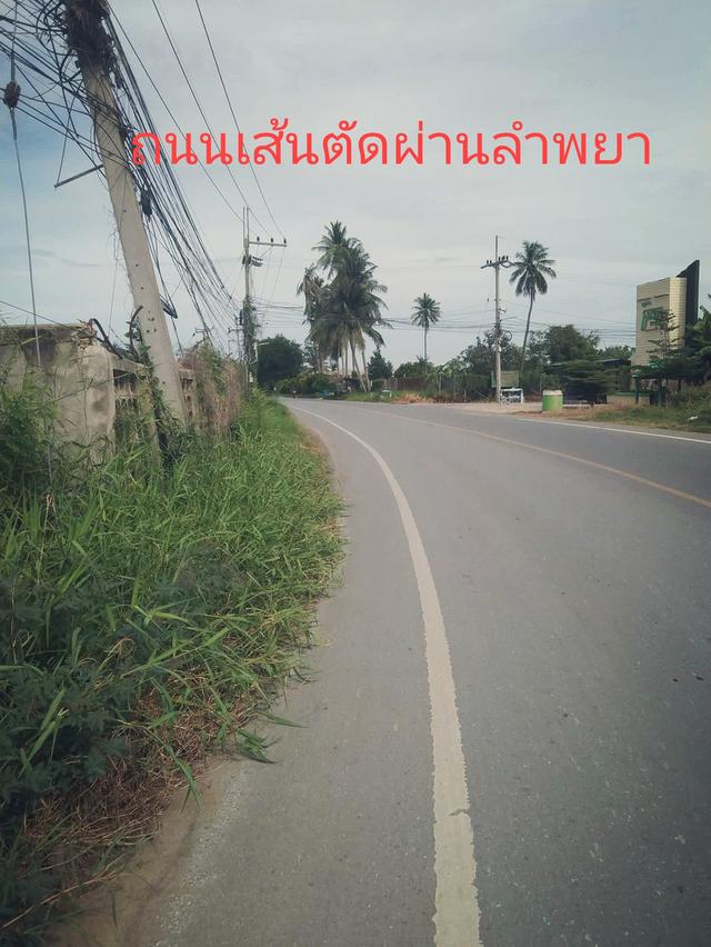 ขายที่ดินเปล่า อำเภอเมือง จังหวัดนครปฐม 2