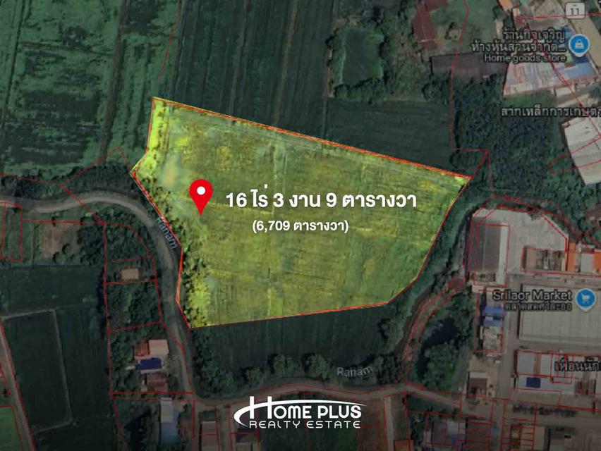 🌳 ขายที่ดินแปลงใหญ่ 16 ไร่กว่า – ติดตลาดสดศรีละออ อำเภอสากเหล็ก จังหวัดพิจิตร 1