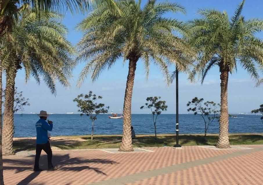 ที่ดิน ริมหาดกระทิงลาย(บางละมุง)พัทยา เนื้อที่่ 2-0-88 ไร่ แปลงหัวมุม 5