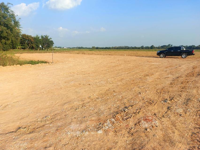 ที่ดิน ตำบลหัวรอ พิษณุโลก 6