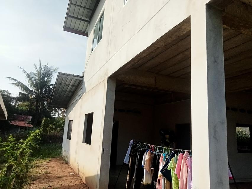 ขายบ้านพร้อมที่ดิน2ชั้น ตำบลหลุมข้าว อำเภอโนนสูง จังหวัดนครราชสีมา 4