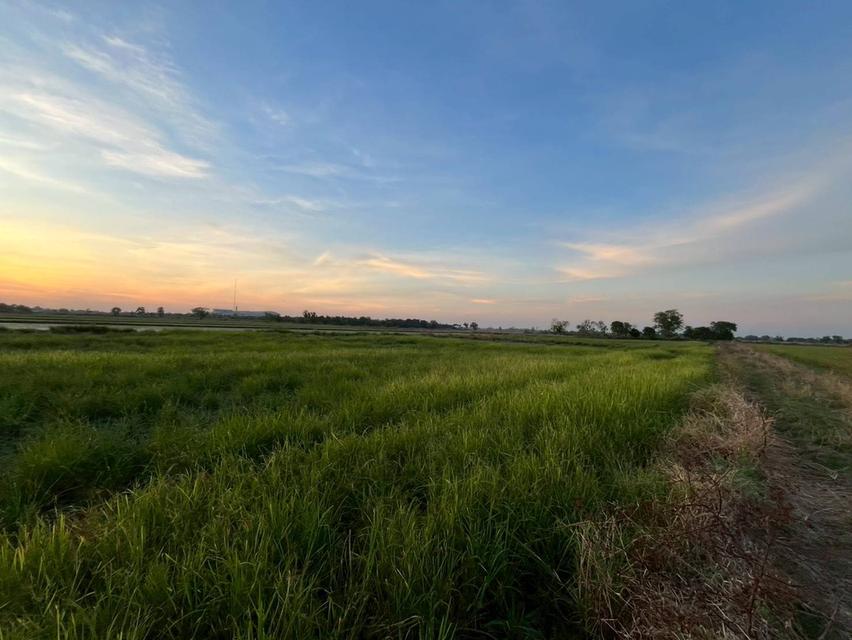 ขายที่ดินเปล่า ซอยโรงงานจานชาม 10 บาท ใกล้อบต พระอาจารย์ 2