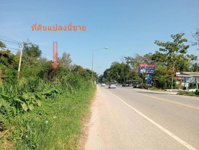 ขายที่ดิน ปากช่อง แปลงใหญ่ 95 ไร่ ติดถนนธนะรัตน์ วิวภูเขา เหมาะสำหรับทำโรงแรม รีสอร์ท หรือ โครงการหมู่บ้าน นครราชสีมา 1