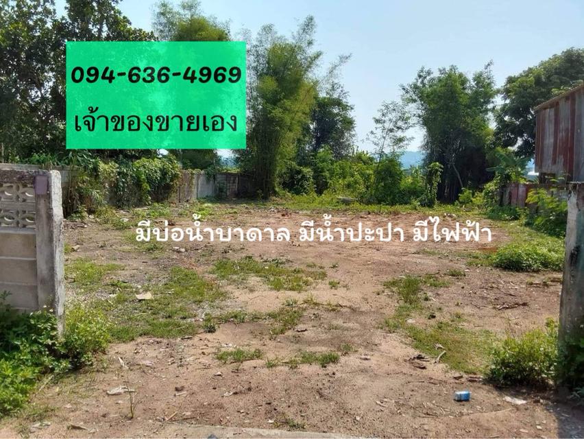 ที่ดินเปล่า เวียงชัย 1 งาน 16 วา เจ้าของขายเอง 3