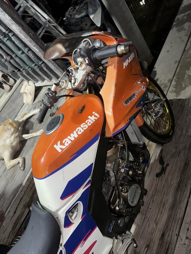 Kawasaki serpico 150 2