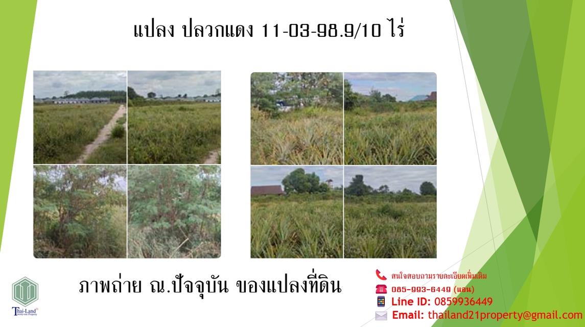 ขายที่ดินสีเหลือง อำเภอปลวกแดง จังหวัดระยอง  เนื้อที่ 11 ไร่ 3 งาน 98.9 ตารางวา 9