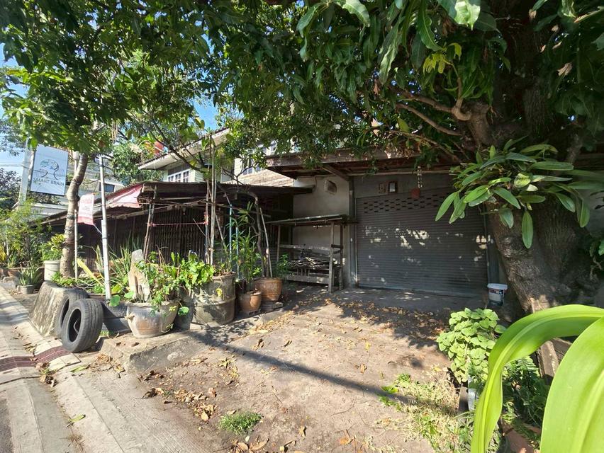 ขายบ้านไม้ 2 ชั้น ทำเลดี เหมาะลงทุน ใกล้ APL รามคำแหง (N.2011) 6