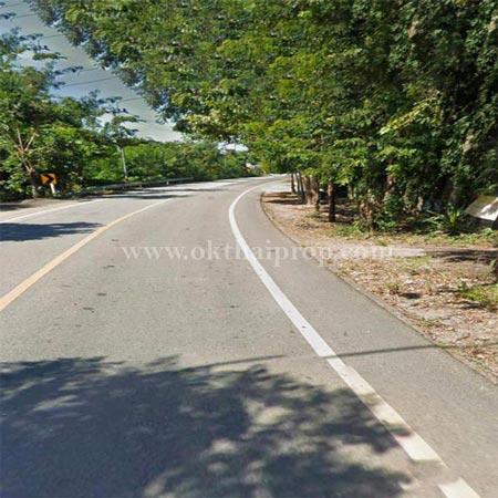 ที่ดิน ต.นาวังหิน อ.พนัสนิคม จ.ชลบุรี 8