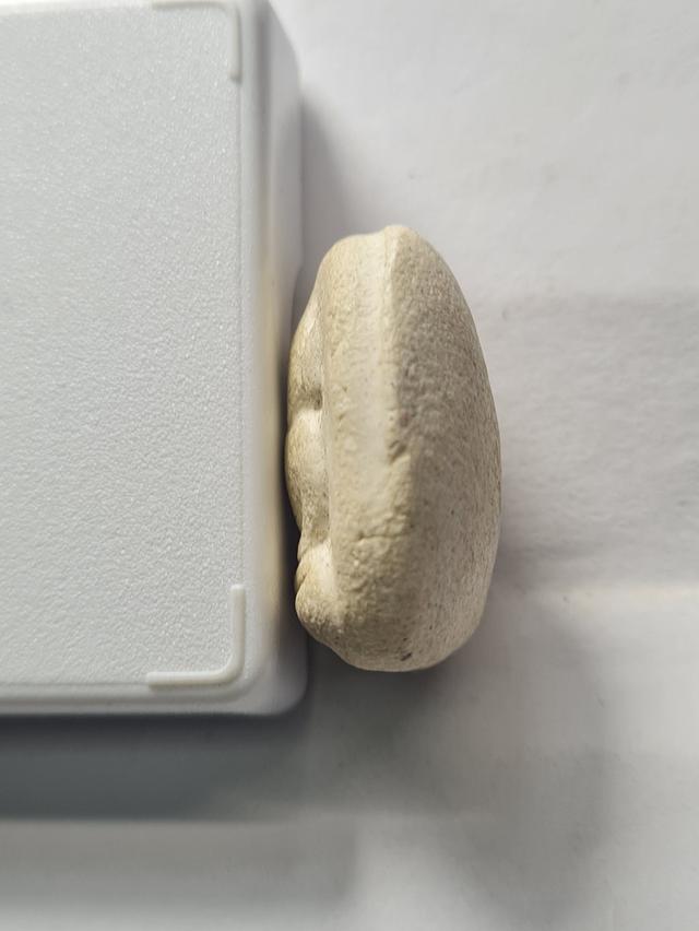 พระวัดพลับยกคู่ 2 องค์ รูปที่ 5