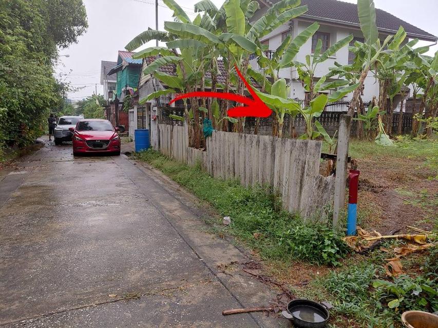 ที่ดิน 51 ตร.ว. บรมราชชนนี 74 เขตทวีวัฒนา กรุงเทพฯ 6