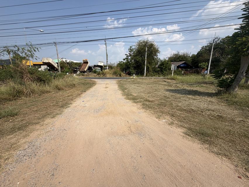 ขายที่ดิน 5.5 ไร่ แถม 1 ไร่ อำเภอโกสุมพิสัย จังหวัดมหาสารคาม 2