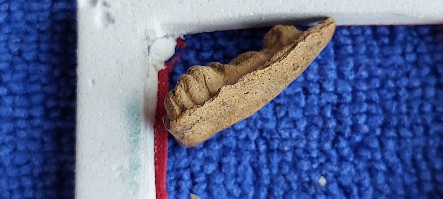 พระรอดกรุวัดมหาวัน ลำพูน รูปที่ 5