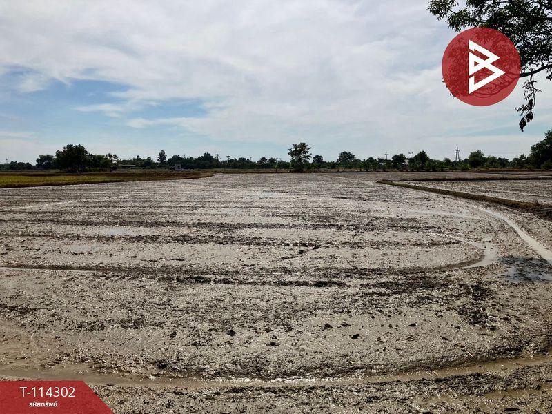 ขายที่นา เนื้อที่ 2 ไร่ อำเภอหนองแค สระบุรี 2