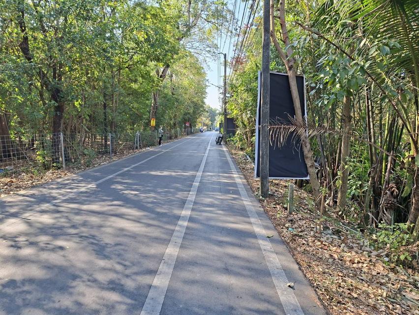 ขายที่ดินบางกะเจ้า 300 ตร.ว. ใกล้สวนศรีนครเขื่อนขันธ์ หน้าติดถนน หลังติดคลอง 1