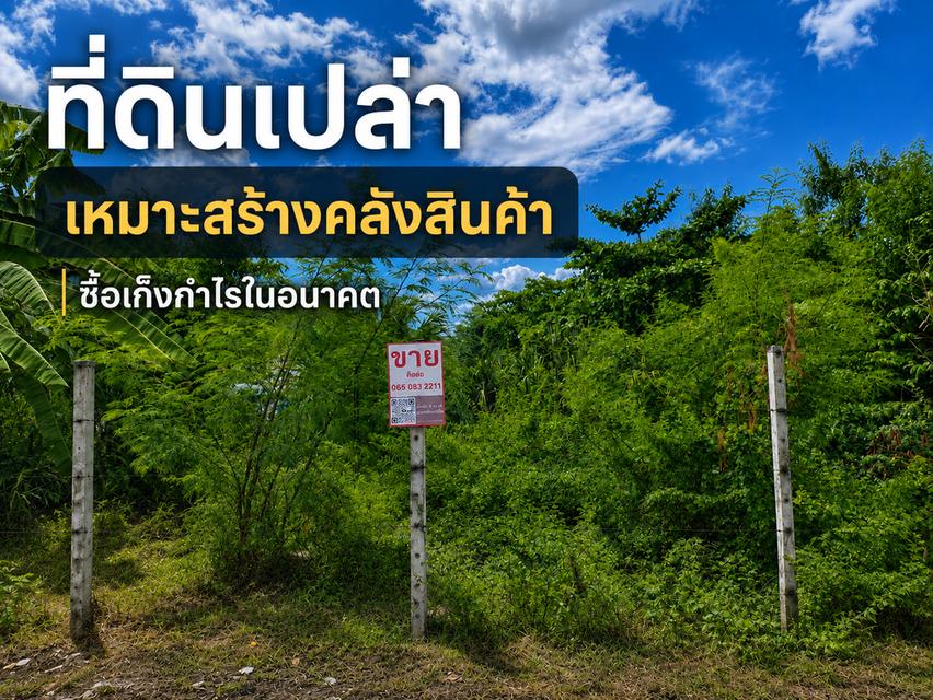 ขายที่ดินถมแล้ว 159 ตารางวา ลาดสวาย ลำลูกกา ปทุมธานี ใกล้ถนนใหญ่ (เพียง 100 เมตร) HRE00691 3