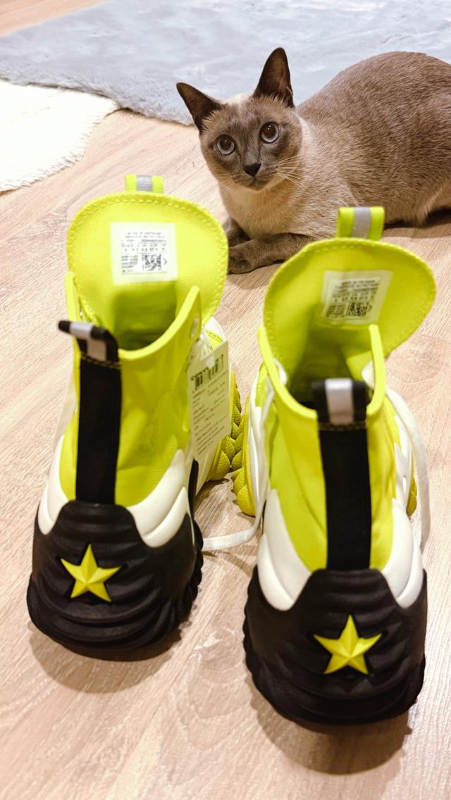 รองเท้าผ้าใบ converse
