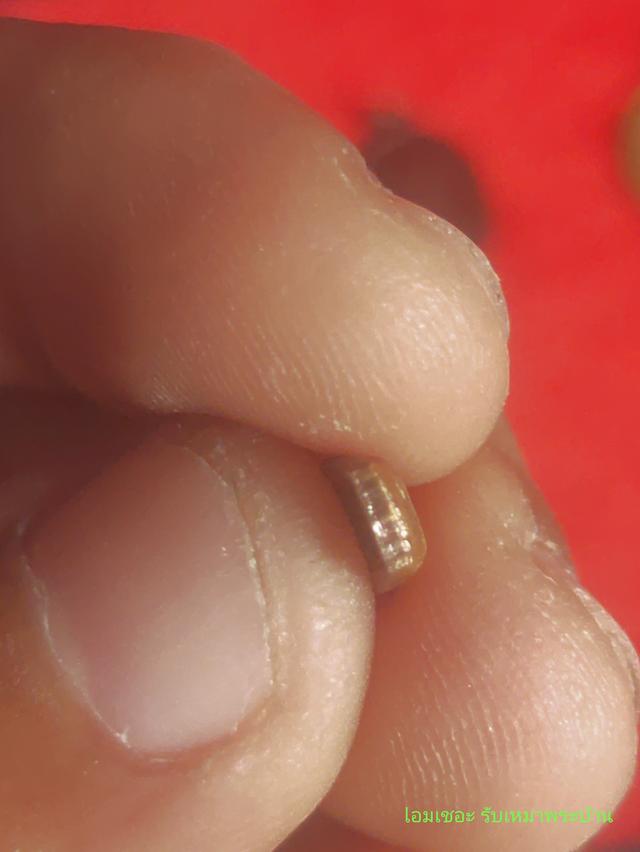 ปรกมะขาม 5