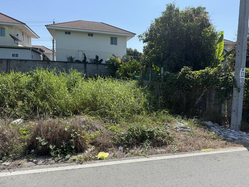 ที่ดินถมแล้ว ไทรน้อย 2