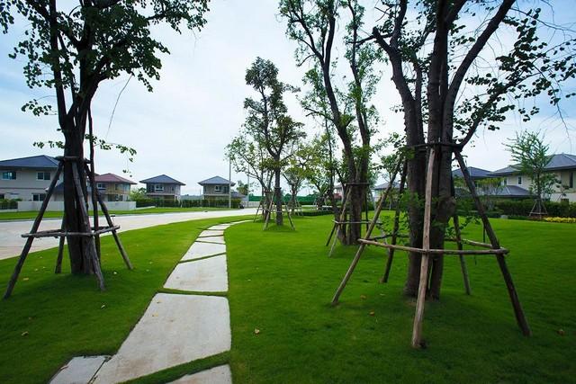 บ้านเดี่ยวโครงการใหม่คณาสิริ บางนา น่าอยู่มาก 4 ห้องนอน คณาสิริ by แสนสิริ บางนา กม. 26 บางเสาธง สมุทรปราการ