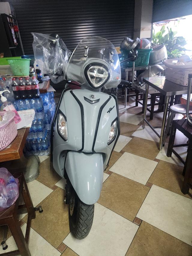 filano hybrid 2022 2