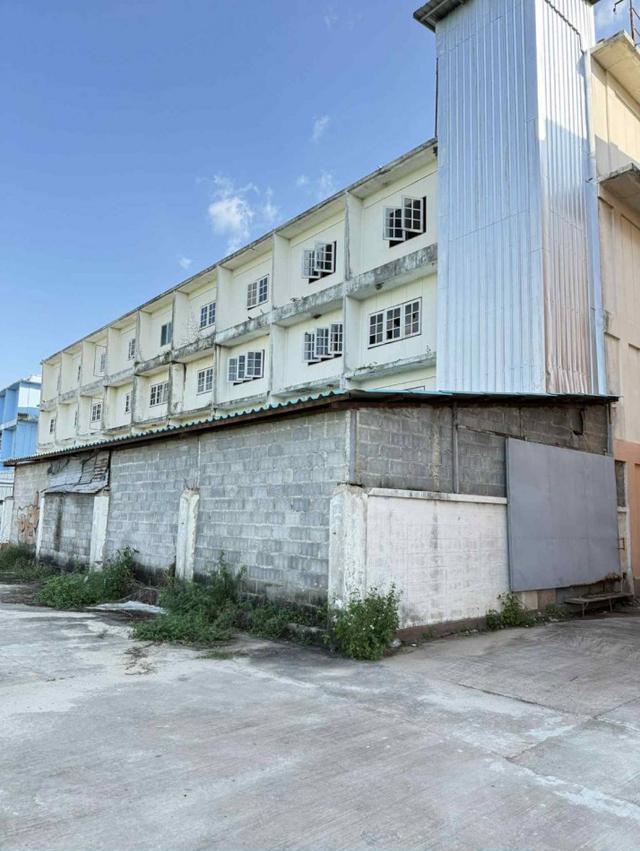 ให้เช่าอาคารพาณิชย์ ตลาดน้อยหน่า ปากช่อง นครราชศรีมา 3.5 ชั้น 120 ตรว 576 ตรม 2