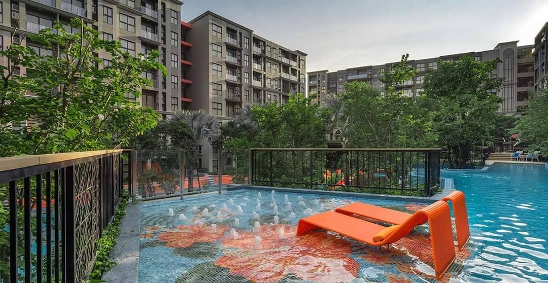 La Habana Hua Hin : ลา ฮาบานา หัวหิน,  5