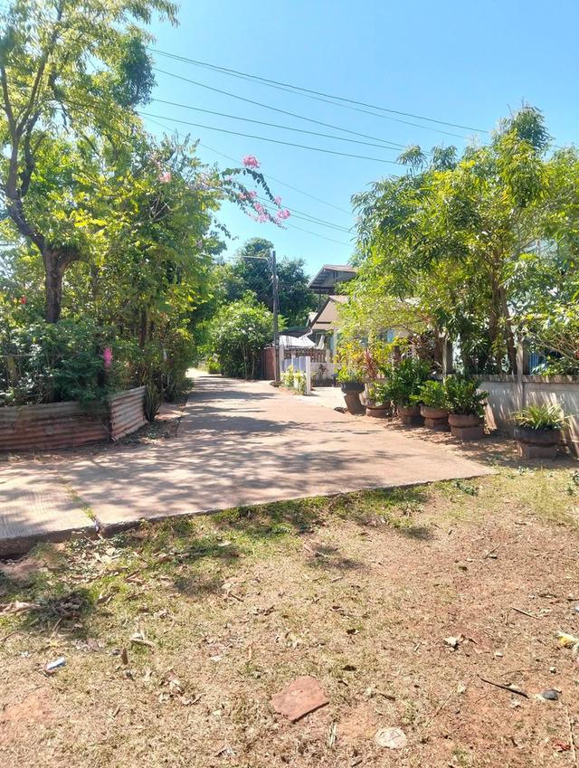 ที่ดิน 1 ไร่ 28 ตร.วบ้านนาสมดีอำเภอเมืองนครพนม 11