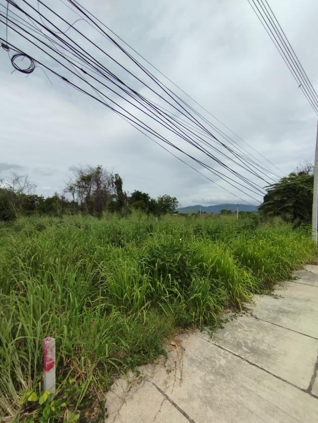 ขายที่ดินใจกลางเมืองนาป่า 200 ตรว. ซ.เพนียงพัฒนา2 ติดถนนคอนกรีตที่ดินถมสูงเท่าถนน ใกล้ถ.บายพาสเลี่ยงเมือง361 - 1 กม. เมืองชลบุรี 3