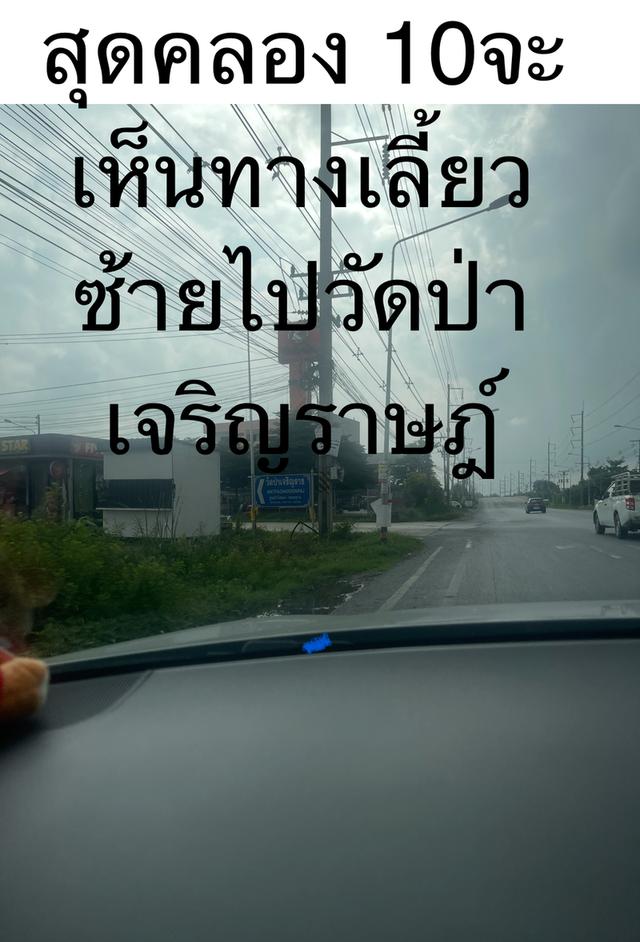 ขายที่ดินเปล่า 1 ไร่ คลอง11 โทร0814972940 1