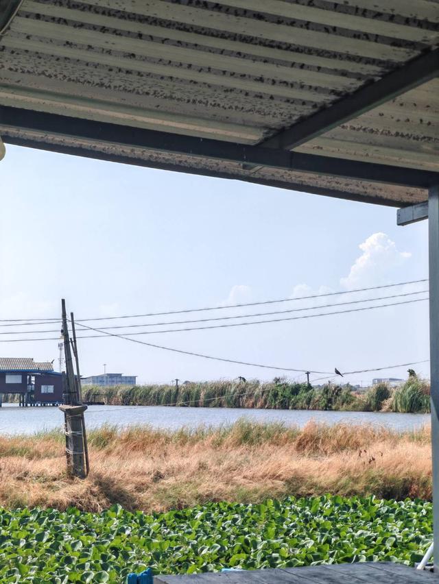 ที่ดินแปลงสวย ต.บางบ่อ สมุทรปราการ 2