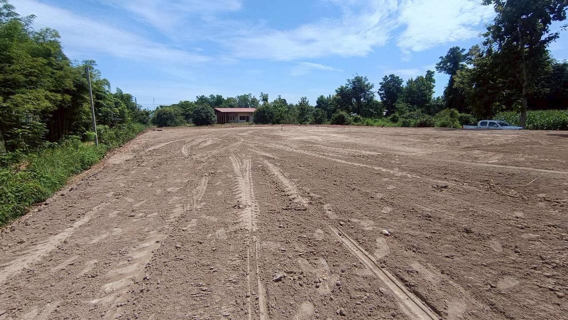 บ้านและที่ดิน 1 หลัง 3