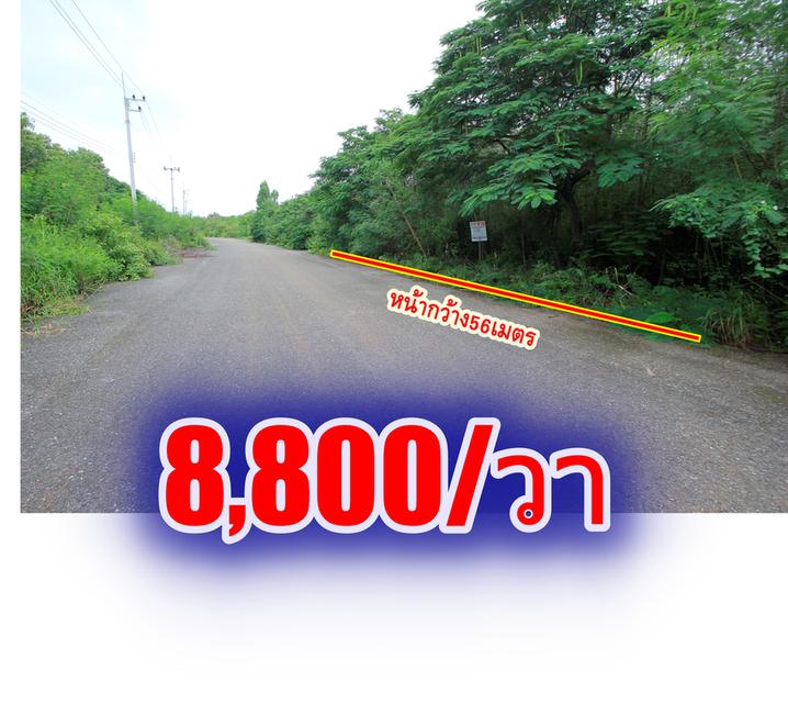 ที่ดินสนามกอล์ฟบางปะกงริเวอร์ไซด์ 1-2-01 ไร่ หันหน้าออกแม่น้ำบางปะกง ใกล้กรุงเทพ มอเตอร์เวย์ กรุงเทพ ชลบุรี สายใหม่ 8,800บาท/วา