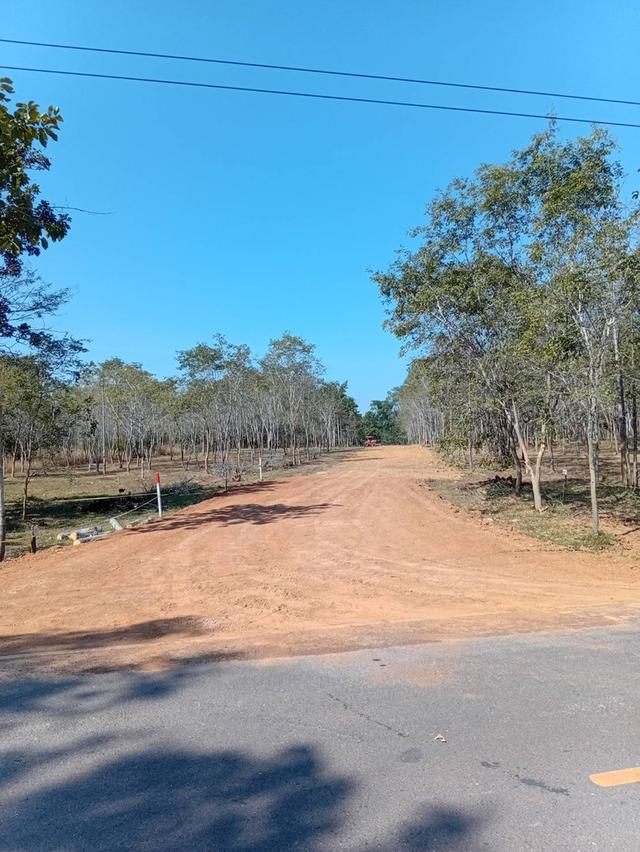 ที่ดินแบ่งขายมีโฉนด ครุฑแดง 6