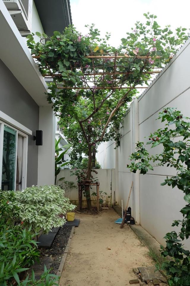 🏡 ขายบ้านเดี่ยว มัณฑนา ราชพฤกษ์–สะพานมหาเจษฎาบดินทร์ (Land & Houses)