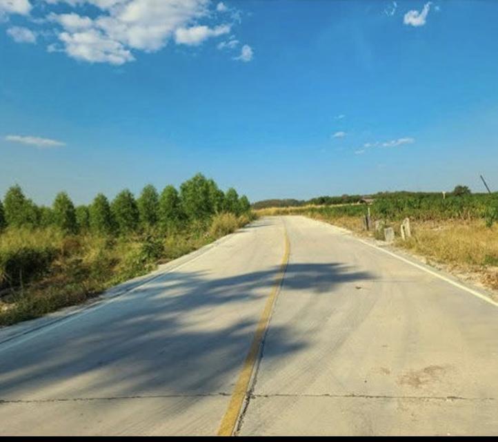 ขายที่ดินศักยภาพสูง ทำเลทอง 48-2-85 ไร่ ต.มาบตาพุด จ.ระยอง ใจกลางโซนอุตสาหกรรม ผังสีส้มเหมาะสำหรับการพัฒนาและการลงทุนระย 5