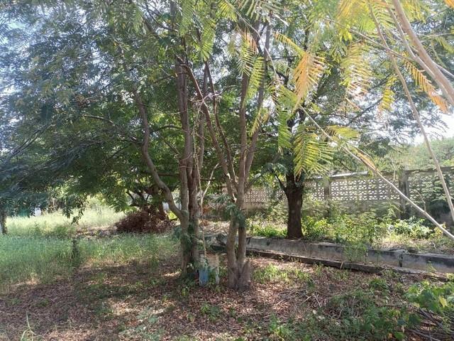 ขายที่ดินถมแล้ว เนื้อที่ 194 ตารางวา ถนนบรมราชชนนี ตำบลบางกระทึก อำเภอสามพราน จังหวัดนครปฐม 7