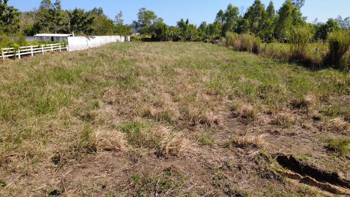 ที่ดินวิวเขายายดา ระยอง 5