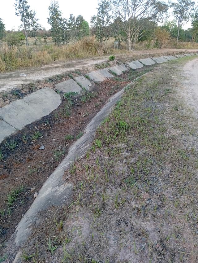 ที่ดินทุ่งนา 31 ไร่ 2 งาน 39 ตารางวา นส3. ติดคลองชลประทาน ใกล้ปั๊มน้ำมัน ห่างโรงพยาบาลโขงเจียม7กม. จ.อุบลราชธานีโขงเจียม รูปย่อยที่ 4