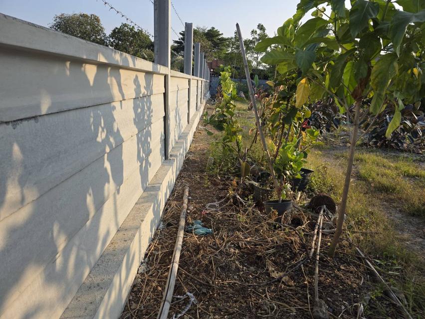 ด่วน ประกาศขายที่ดินเปล่าทำเลดี (ถมแล้ว) ราคาถูก 128 ตารางวา โฉนดที่ดินเลขที่ 45082 ตำบล บางเลน อำเภอ บางเลน จังหวัด นครปฐม 8